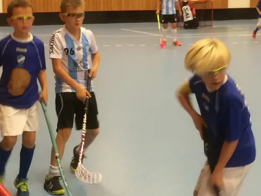 Vänerns Pärla 2016. En hellyckad dag i Mariestad!