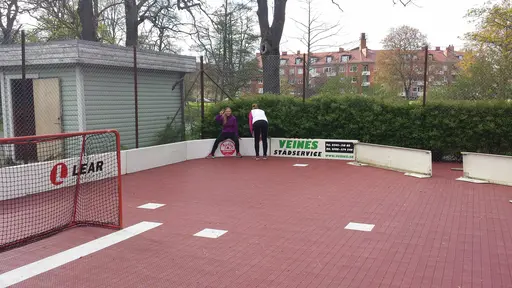 Ett tiotal personer kom till planen för att hjälpa till att snygga upp. Tack!