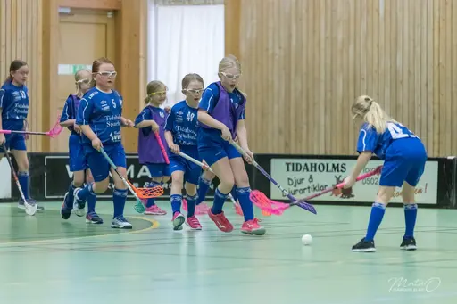 Foto: Mats Olofsson (habobild.se)