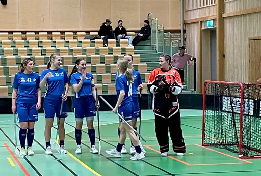 En riktigt bra match där vi hade förtvivlat svårt att få in bollen i mål trots många bra lägen vilket resulterar i en förlust med 2-3