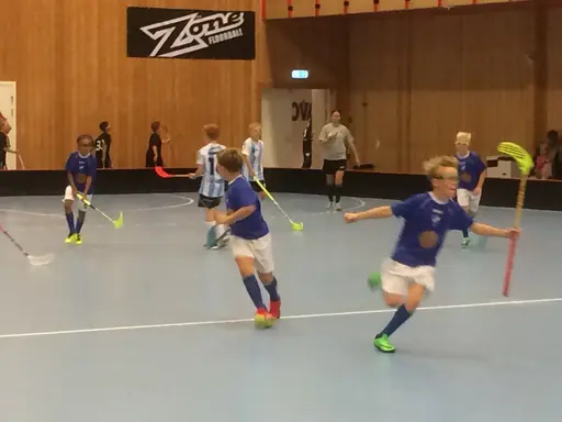 Vänerns Pärla 2016. En hellyckad dag i Mariestad!