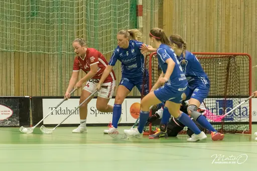 Foto: Mats Olofsson (habobild.se)