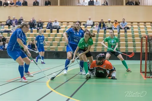 Foto: Mats Olofsson (habobild.se)
