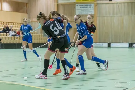 Foto: Mats Olofsson (habobild.se)