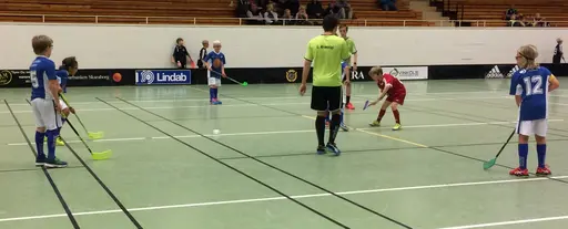 Vilket kanonsammandrag grabbarna bjöd oss på. Då får man stå ut med en och annan bonnahög.