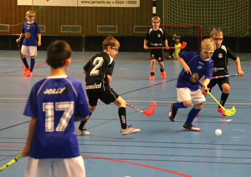 Full fart i Tibro! Här match mot Falköping.