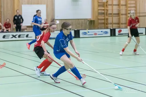 Foto : Mats Olofsson (habobild.se)