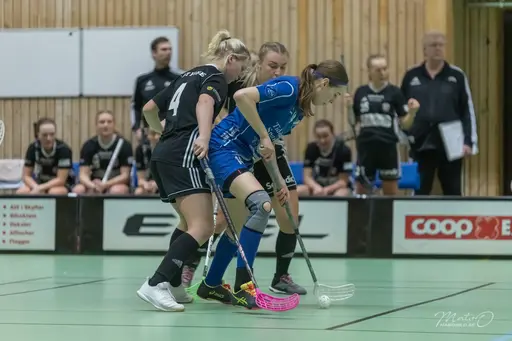 Foto: Mats Olofsson (habobild.se)