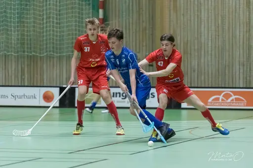 Foto: Mats Olofsson (habobild.se)