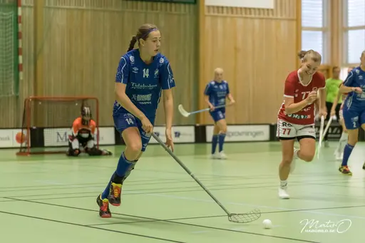 Foto: Mats Olofsson (habobild.se)