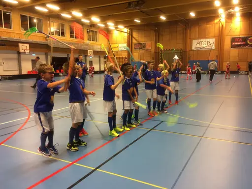 Vänerns Pärla 2016. En hellyckad dag i Mariestad!
