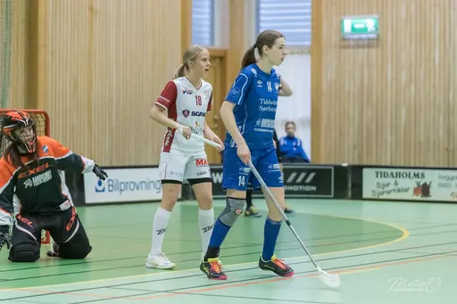 Foto: Mats Olofsson (habobild.se)
