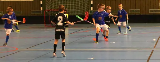 Full fart i Tibro! Här match mot Falköping.
