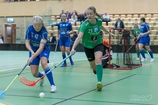 Foto: Mats Olofsson (habobild.se)