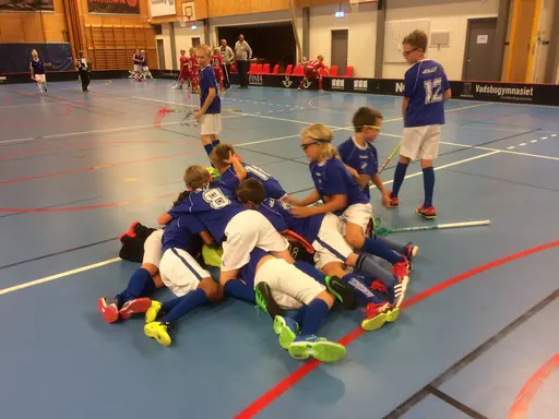 Vänerns Pärla 2016. En hellyckad dag i Mariestad!