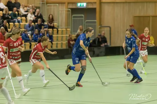 Foto: Mats Olofsson (habobild.se)
