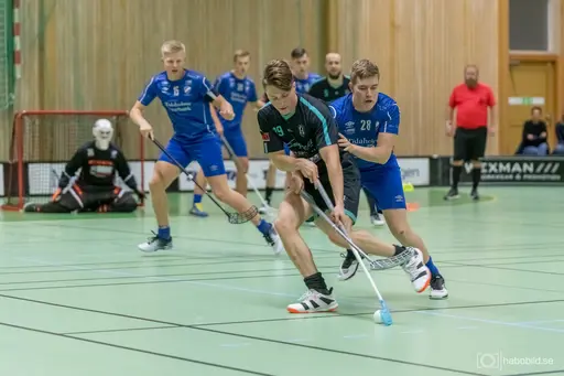 Foto: Mats Olofsson (habobild.se)