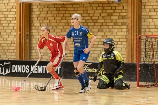 Foto: Mats Olofsson (habobild.se)