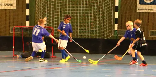 Full fart i Tibro! Här match mot Falköping.