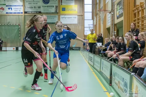 Foto: Mats Olofsson (habobild.se)