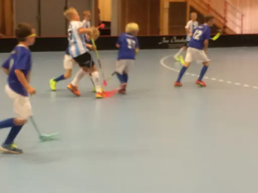 Vänerns Pärla 2016. En hellyckad dag i Mariestad!
