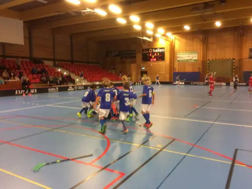 Vänerns Pärla 2016. En hellyckad dag i Mariestad!