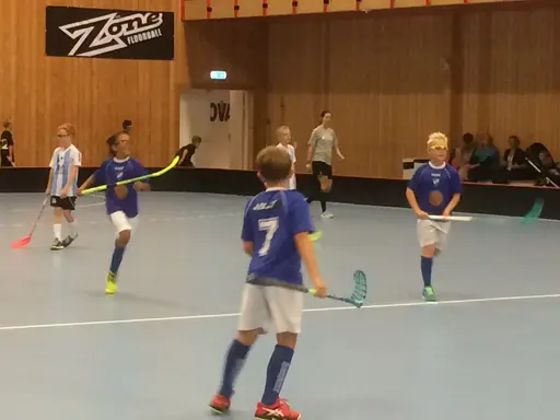 Vänerns Pärla 2016. En hellyckad dag i Mariestad!