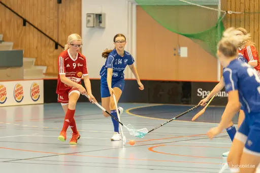 Foto: Mats Olofsson (habobild.se)