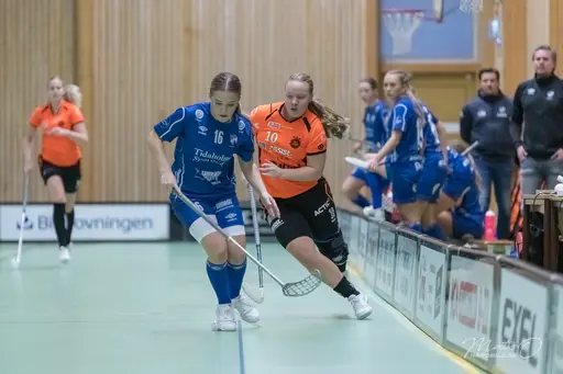 Foto: Mats Olofsson (habobild.se)