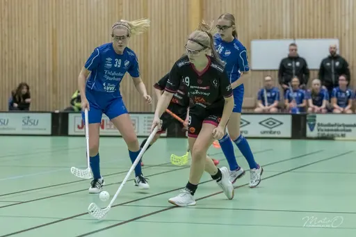 Foto: Mats Olofsson (habobild.se)