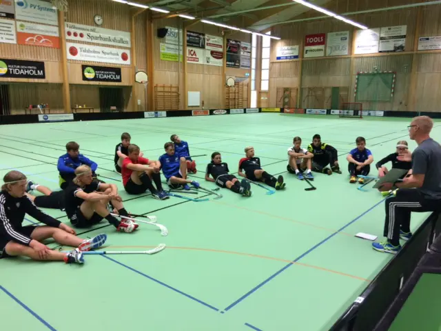 Teori inför första träningsmatchen nu på Lördag.