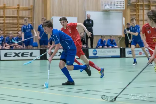 Foto: Mats Olofsson (habobild.se)