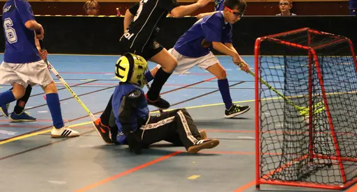 Full fart i Tibro! Här match mot Falköping.