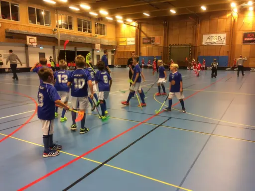 Vänerns Pärla 2016. En hellyckad dag i Mariestad!