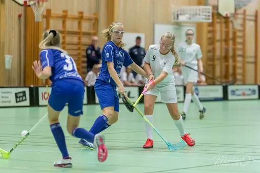 Foto: Mats Olofsson (habobild.se)
