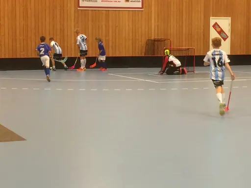 Vänerns Pärla 2016. En hellyckad dag i Mariestad!
