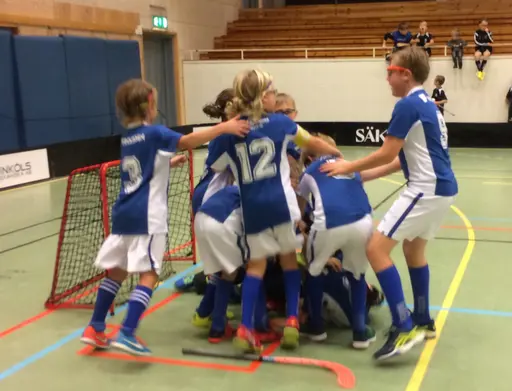 Vilket kanonsammandrag grabbarna bjöd oss på. Då får man stå ut med en och annan bonnahög.