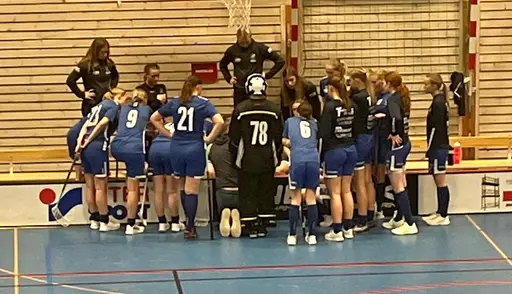 Förlust med 6-3 mot ett duktigt JIK i playoffmatch till Innebandyfesten (SM)