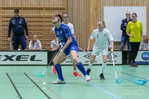Foto: Mats Olofsson (habobild.se)