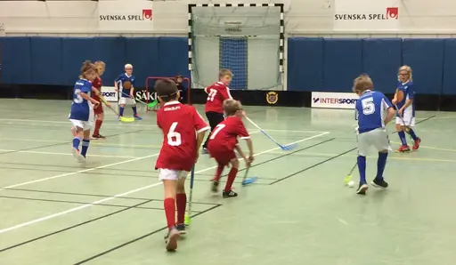 Vilket kanonsammandrag grabbarna bjöd oss på. Då får man stå ut med en och annan bonnahög.