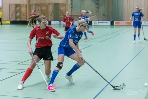 Foto : Mats Olofsson (habobild.se)