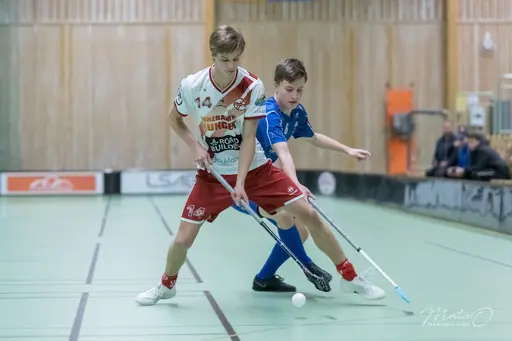Foto: Mats Olofsson (habobild.se)