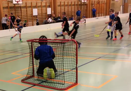 Skövdesammandraget gick ganska trögt för vår del. Men inga sura miner för det!