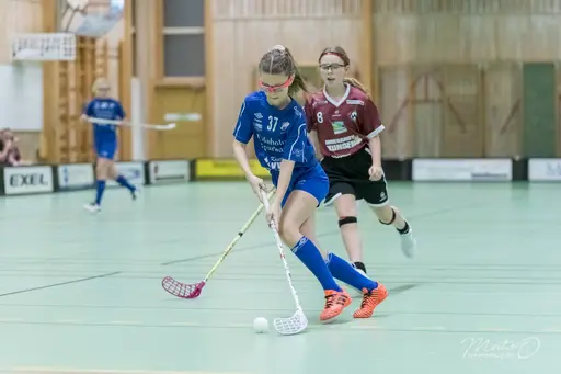 Foto: Mats Olofsson (habobild.se)