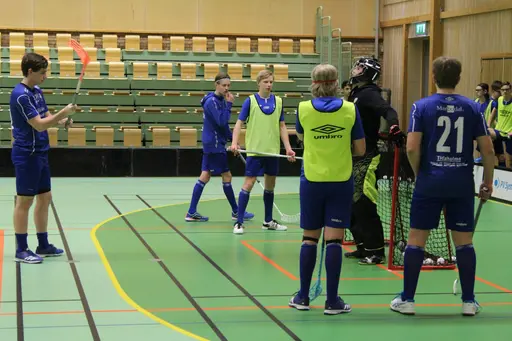 Bra uppladdning bra resultat, vinst 11-2.