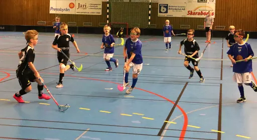 Full fart i Tibro! Här match mot Falköping.