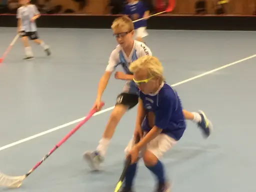 Vänerns Pärla 2016. En hellyckad dag i Mariestad!
