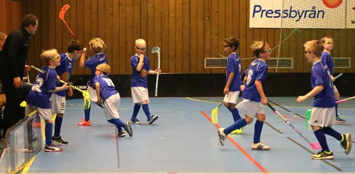 Full fart i Tibro! Här match mot Falköping.