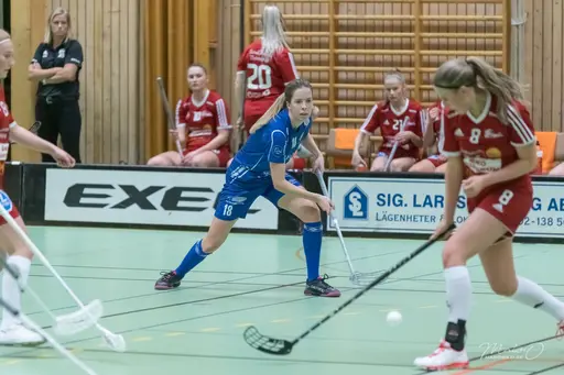 Foto: Mats Olofsson (habobild.se)