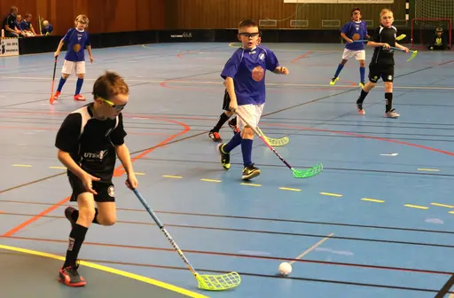 Full fart i Tibro! Här match mot Falköping.